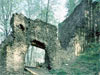Zřícenina Nový Hrad u Kopřivné