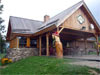 Rybářská bašta Loučná nad Desnou