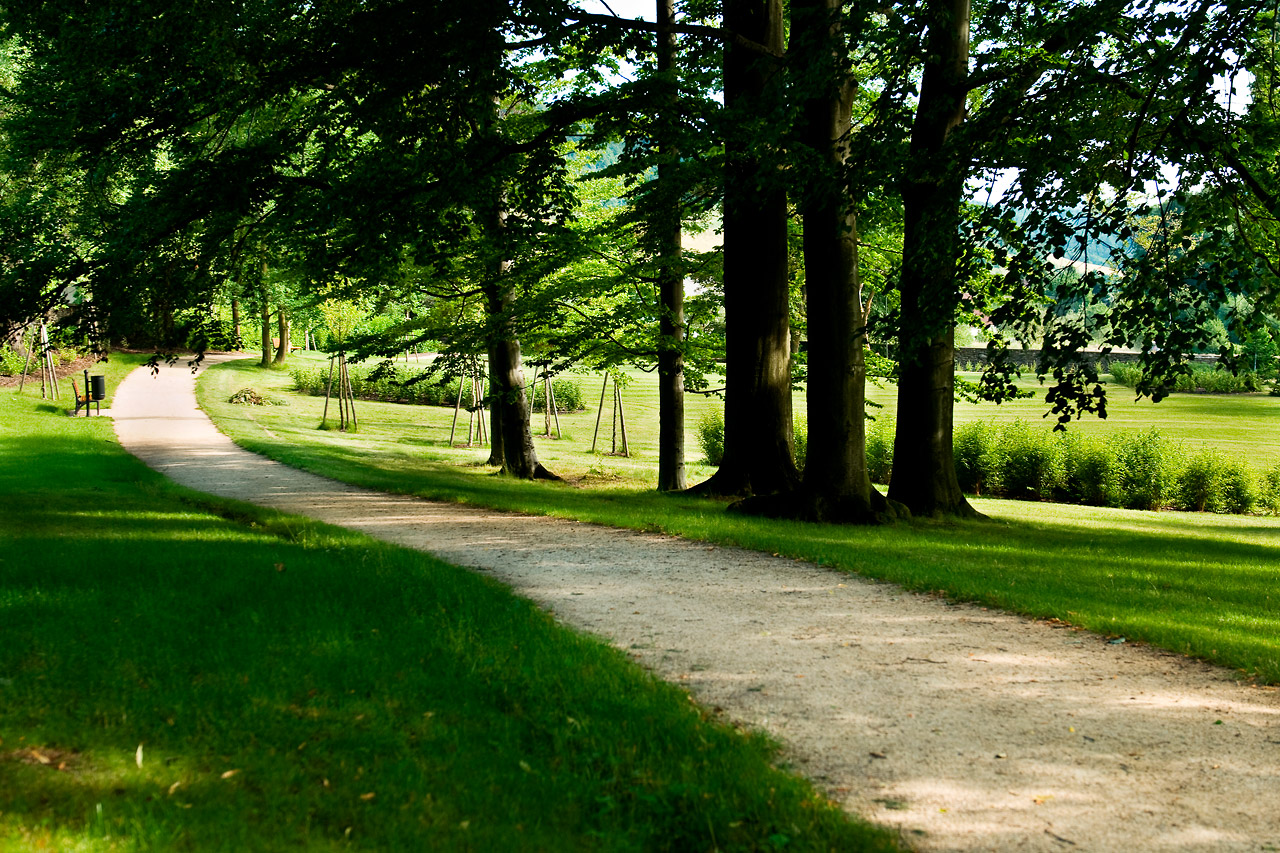 Výsledek obrázku pro park