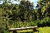 Zámecký park Loučná nad Desnou