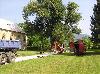 Lípa v Loučné nad Desnou