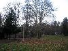 Zámek Sobotín - zámecký park