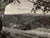 Pohled na Drozdovskou pilu z roku 1959