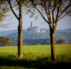 Přes arboretum Bílá Lhota na hrad Bouzov