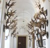 Lovecko-lesnické muzeum