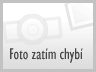 Buk u Velkých Losin