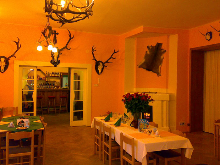 Penzion Vila Háj Třeština - restaurace