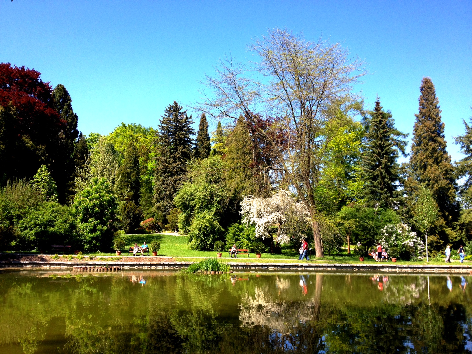 Arboretum Bílá Lhota