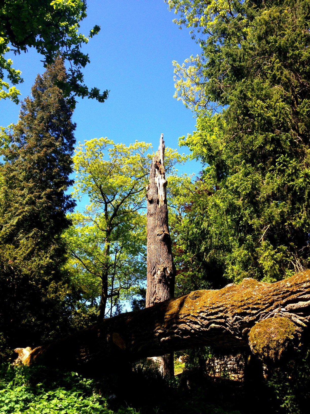Arboretum Bílá Lhota